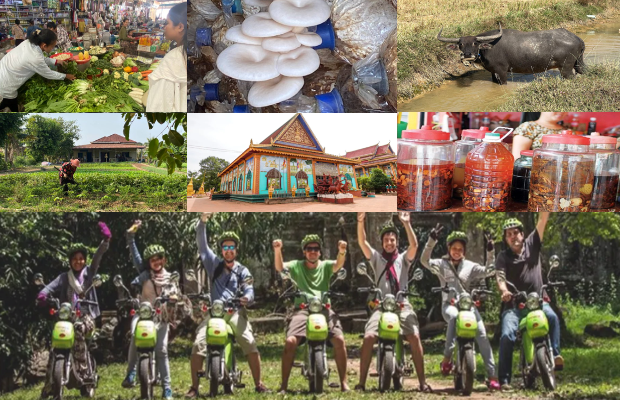 Private Countryside E-Bike Tour (Half-Day)
